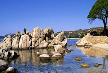 开云官网-冰雪之城破浪长三角！张家口精英团赴东信南通科技峰会书写上升新篇