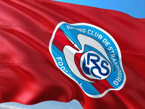 开云体育APP下载-帕尔梅拉斯主帅战术布置细致，力争半决赛全胜