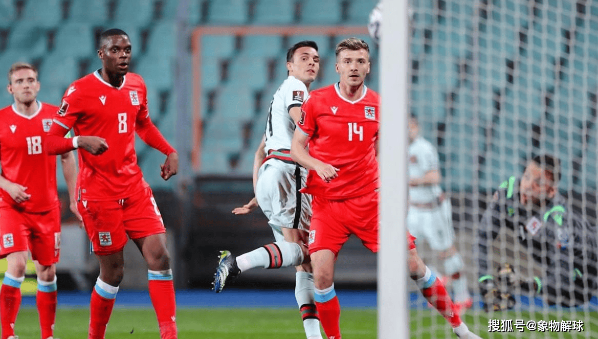 开云体育在线-欧预赛胜利后的庆祝浪潮：球队欢腾一片的简单介绍