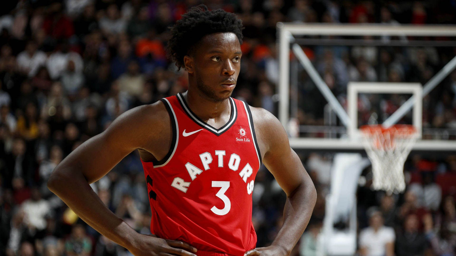 猛龙逆转人,展现出色战术表现 猛龙逆转人,展现出色战术表现