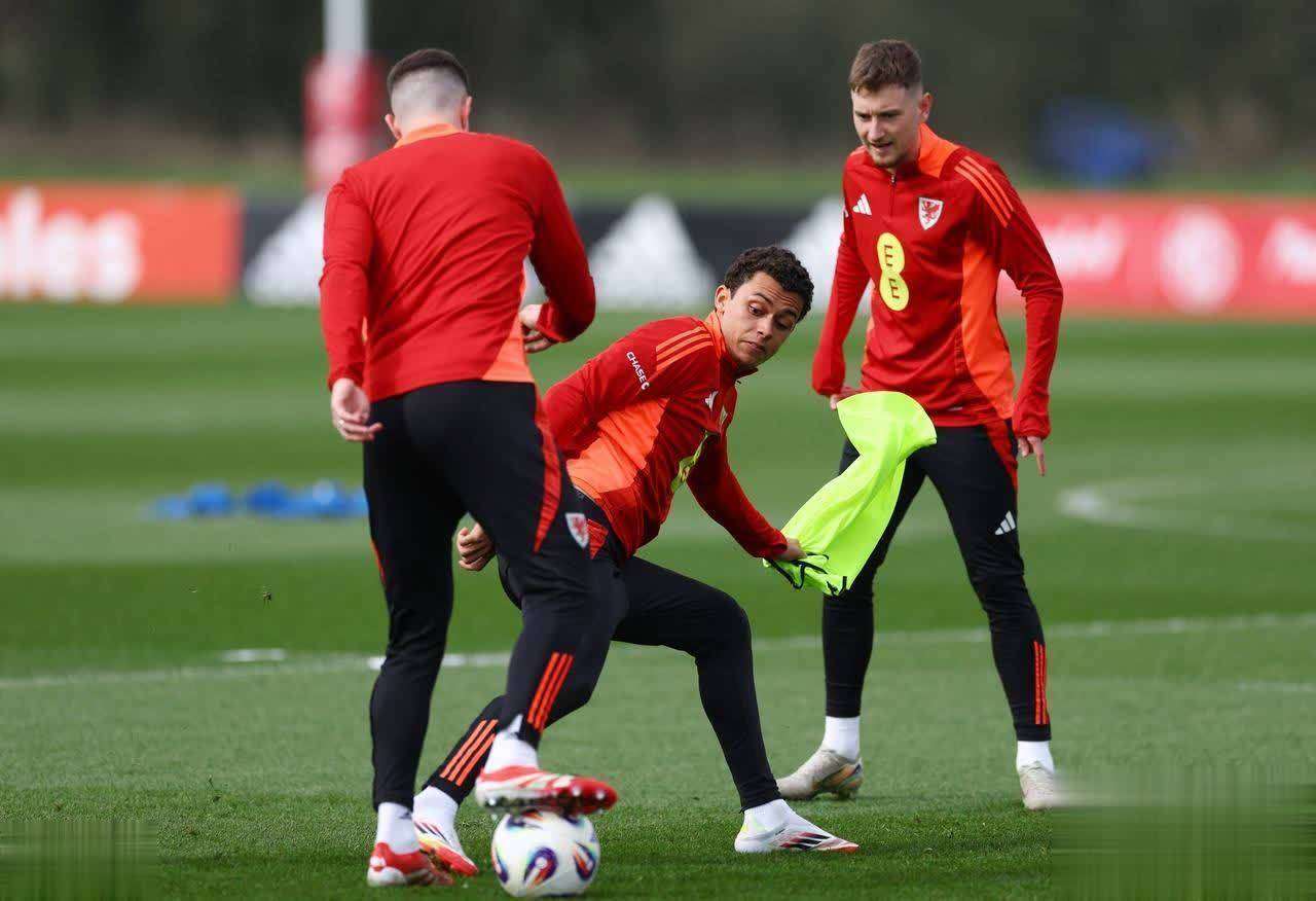 关于匈牙利主场负于威尔士,出线希望渺茫的信息 关于匈牙利主场负于威尔士,出线希望渺茫的信息