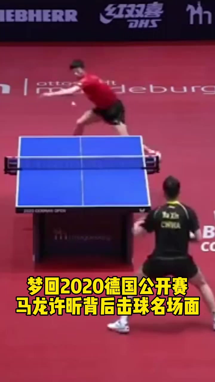 开云体育下载-包含比利时乒乓球队绝杀波兰乒乓球队，许昕送出助攻的词条