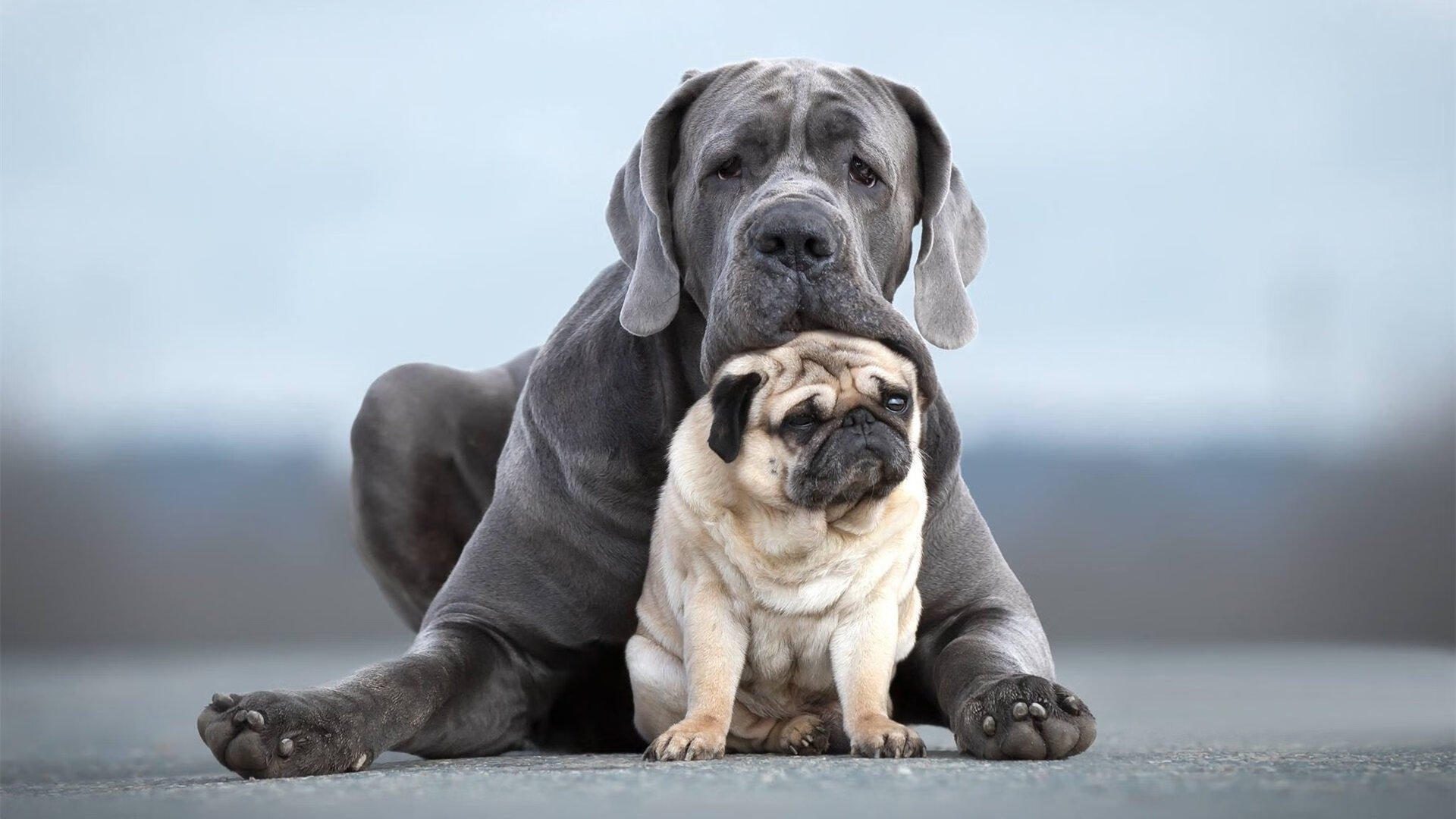 开云体育平台APP-逆转之夜，拉梅洛压制级发挥，北京队绝境翻盘尼克斯