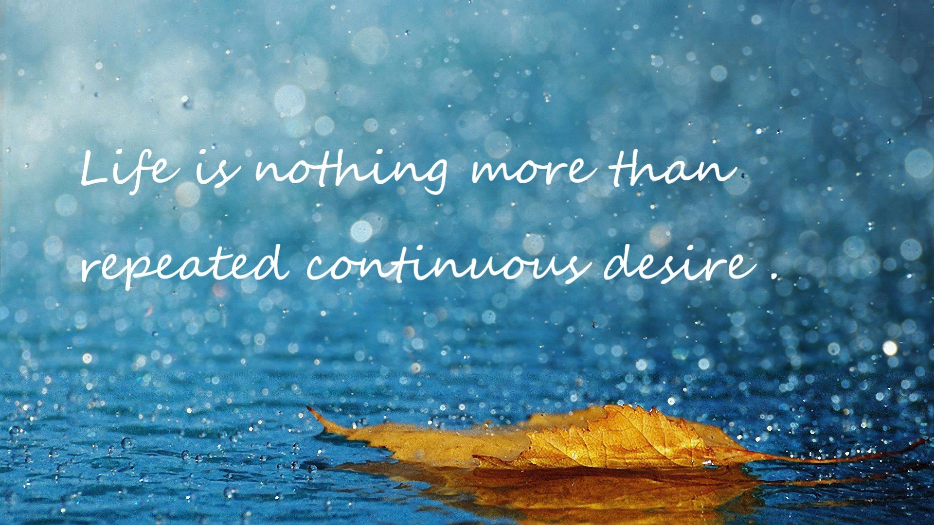 美加墨世界杯焦点战，浙江队加时鏖战逆转森林狼，缔造足球史诗