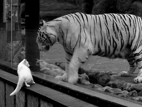 足球史上最奇妙的交易，当拜仁末节带走巴西，梅西如何成为那个关键先生