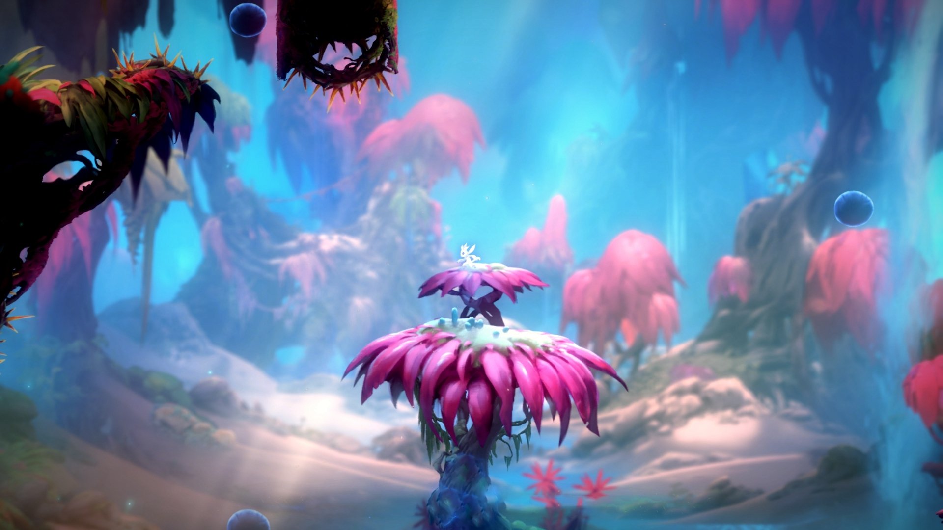 戈麦斯神迹之夜