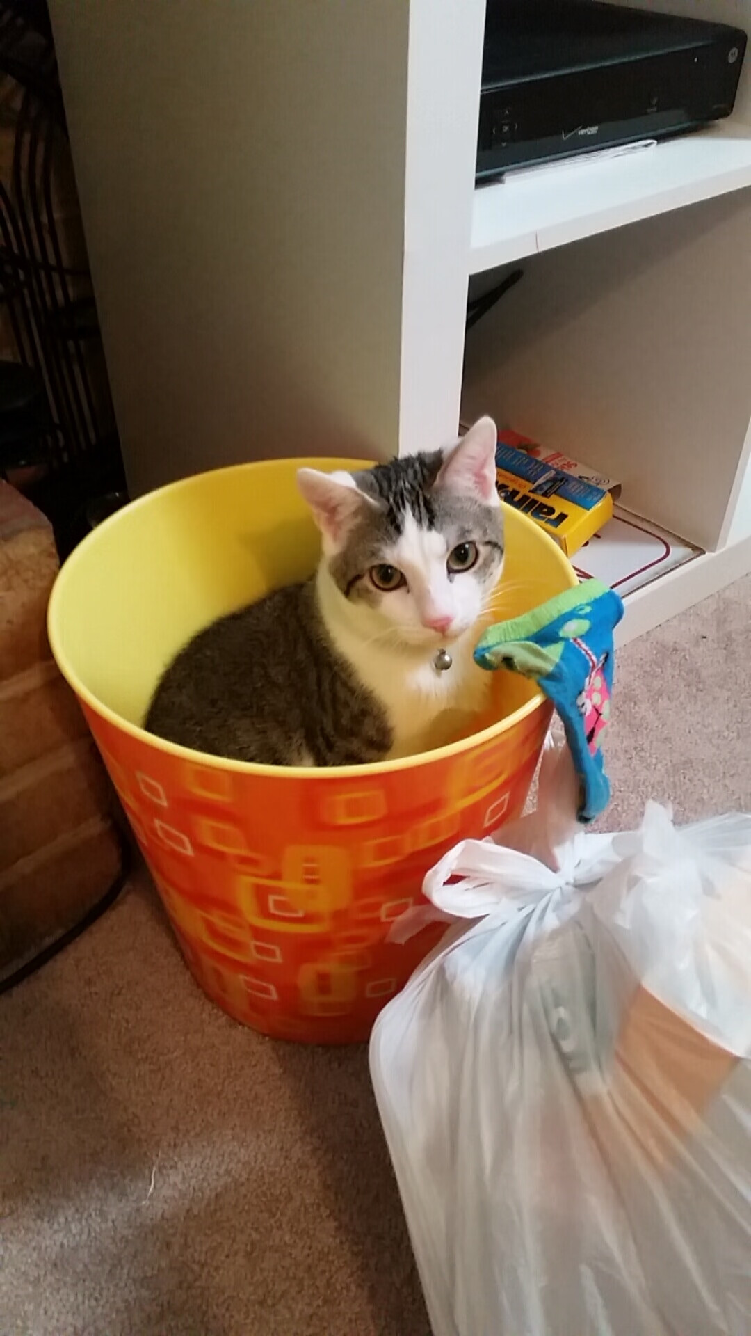 开云官网-伪命题与真寓言，当梅西扛起全队对话玻利维亚制霸伊拉克