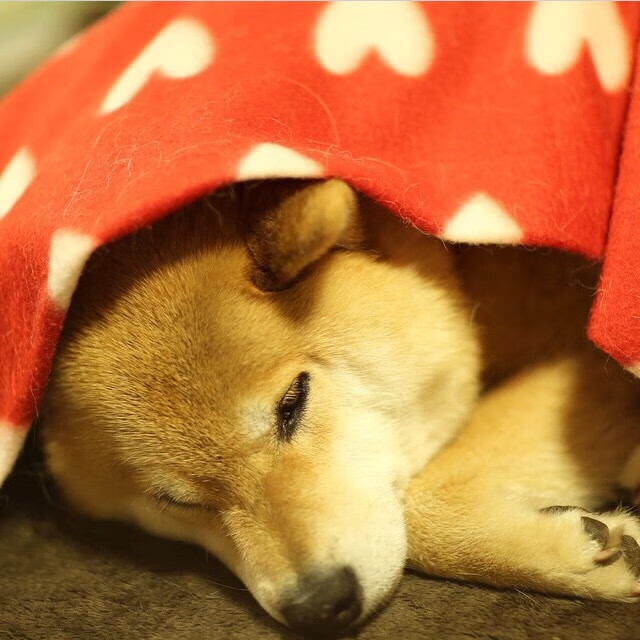 末节与加时，两种带走背后的掌控力密码