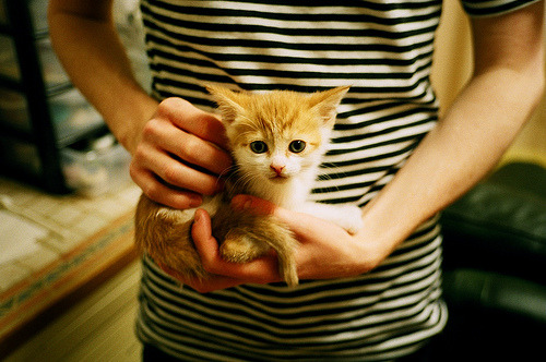 欧冠半决赛焦点战，巴黎圣日耳曼强势晋级，伊朗元素成独特亮点