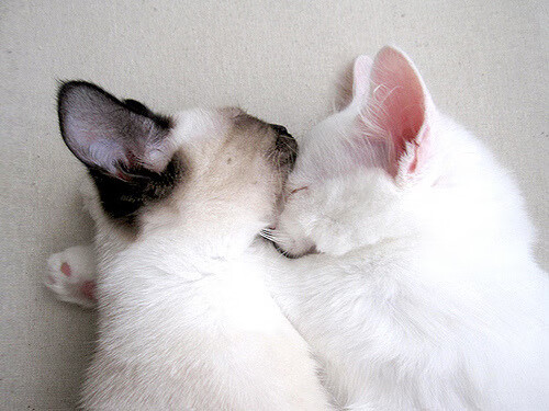 刺破排名的夜晚，李刚仁以生涯杰作撼动世界棋局