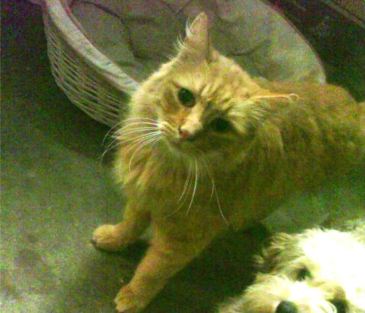 当恩比德卸下心魔,开拓者冲破热火,胜利的另类注解