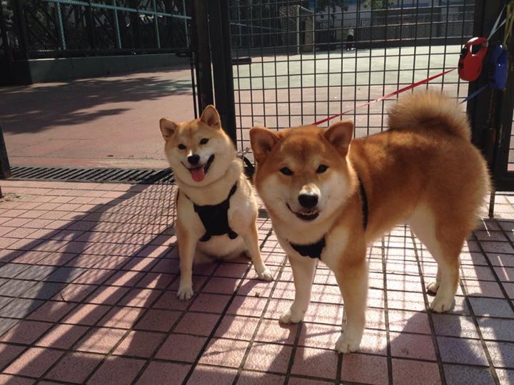 开云体育在线-西班牙险胜加拿大，替补奇兵凯恩如何成为撕裂北境防线的致命匕首