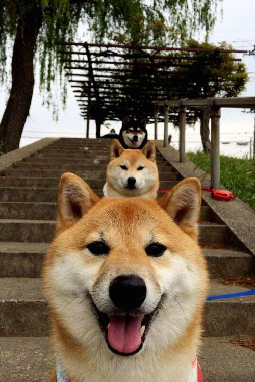 韩国魔法师点醒巴黎，李刚仁的教科书式演出点亮德甲争冠夜