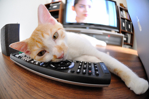 审判日的哨声里，他写下了凡人成神的最后一笔