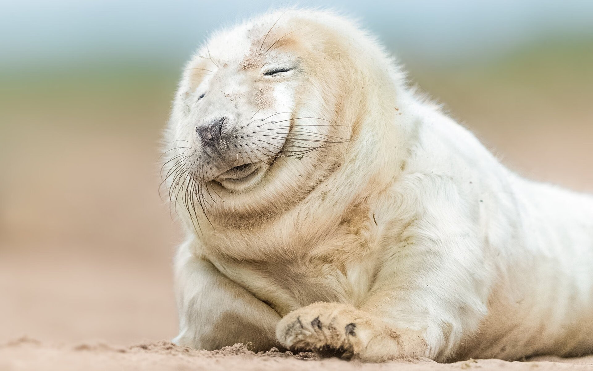 开云体育登录-楚阿梅尼关键战不手软，AC米兰力克那不勒斯登顶意甲