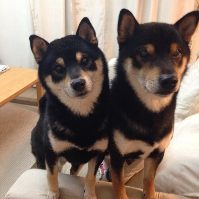 凌晨四点的里程碑，美加墨世界杯之夜的乔治传奇