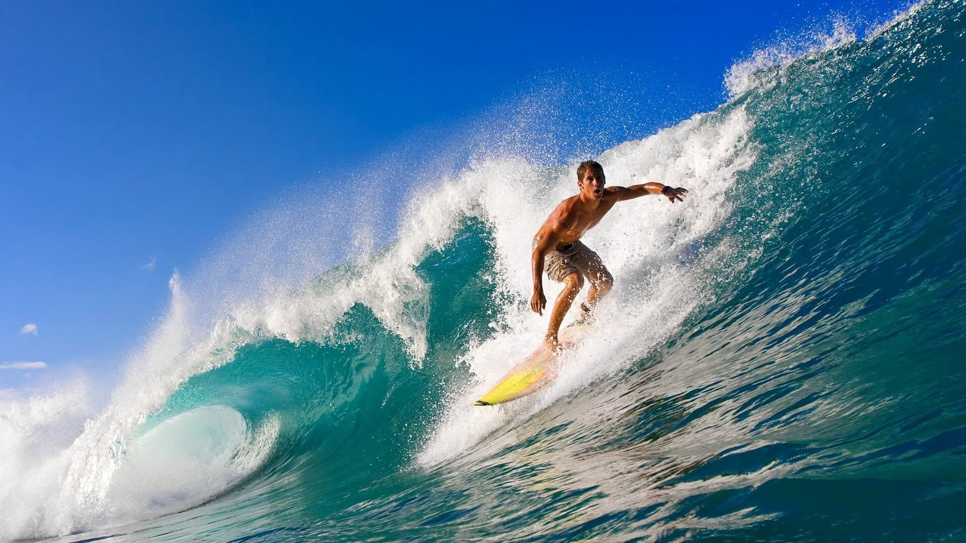 F1年度争冠之夜，福克斯的教科书级表现