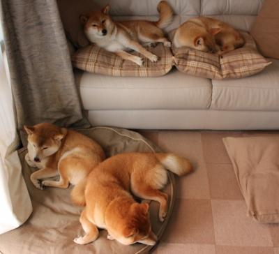 开云APP-铁血浙江的窒息防守，小贾伦在绝境中化身西决战神