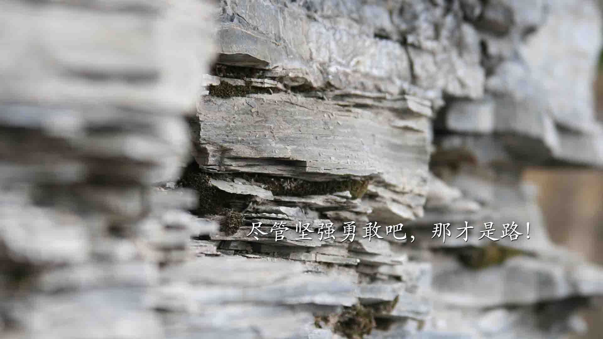 沙漠之巅的奇迹,2026世界杯半决赛,卡塔尔险胜巴西,C罗不朽光芒照耀多哈