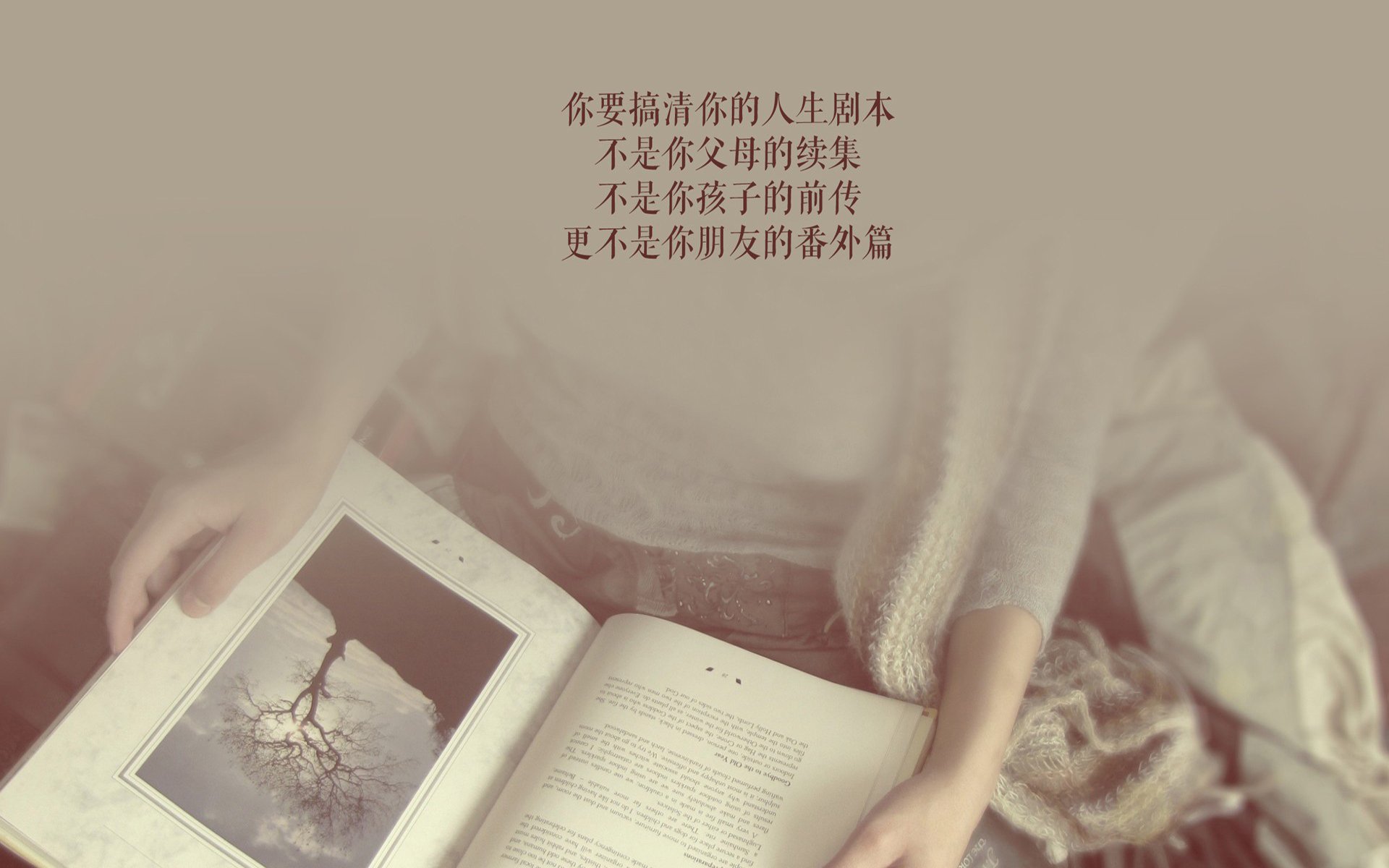 沙漠风暴中的太极虎,孙兴慜引领B组生死战,沙特狙击加纳